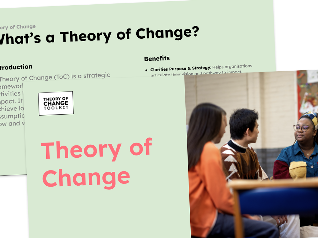 Customise Theory of Change