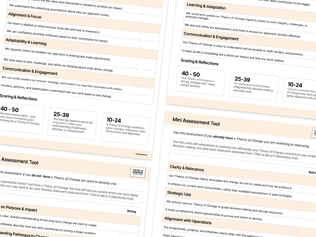 Theory of Change Mini Assessment