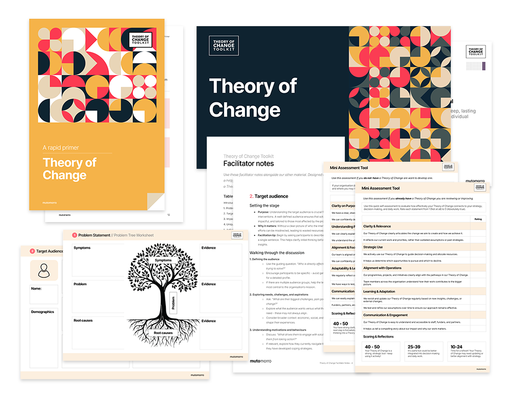 Using a Theory of Change